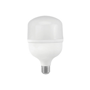 LED Bulb T100
